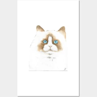 white and brown cat watercolor portrait Posters and Art